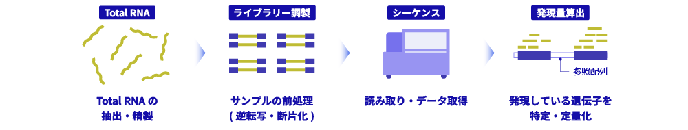 遺伝子発現解析の流れ