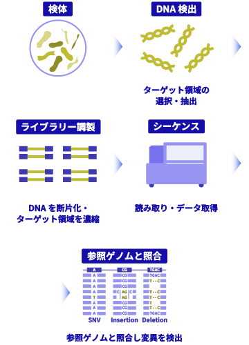 変異解析の流れ