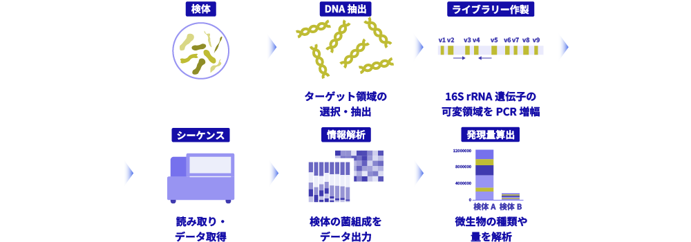 変異解析の流れ