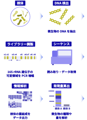 細菌叢解析の流れ