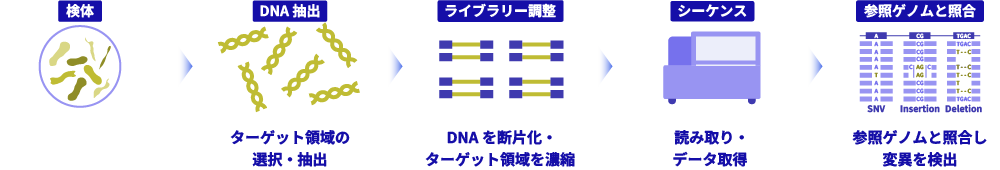 細菌叢解析の流れ