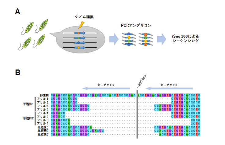 理化学研究所