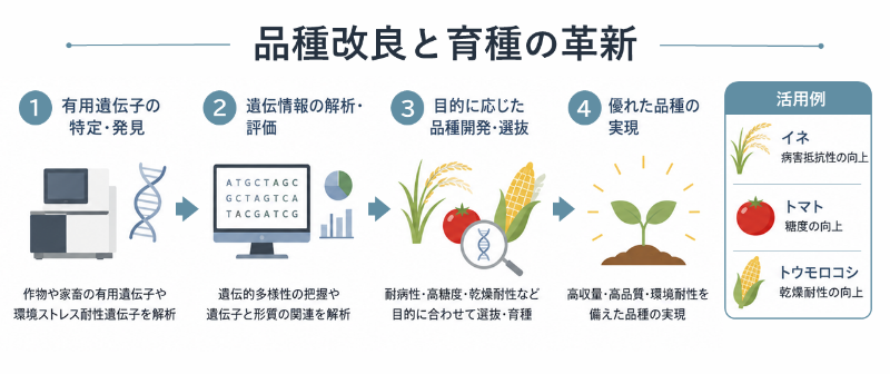 農学分野での次世代シーケンサー活用例_品種改良と育種の革新